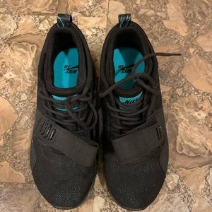 Nike Trainerendor SB